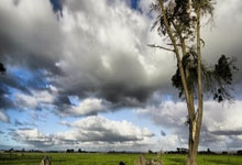 天涯神贴背后的真实故事，老铁你肯定不知道！