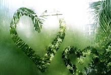 天涯神贴背后的真实故事，老铁你肯定不知道！